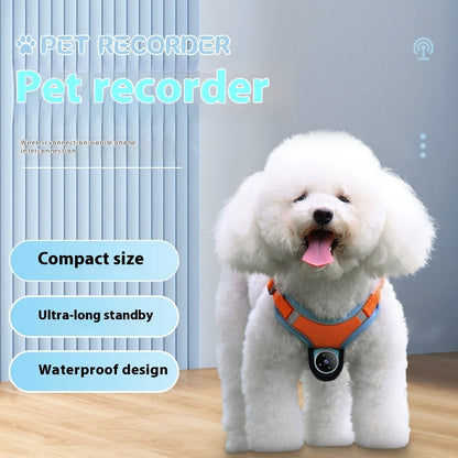 Pet Recorder Collar for Dogs And Cats