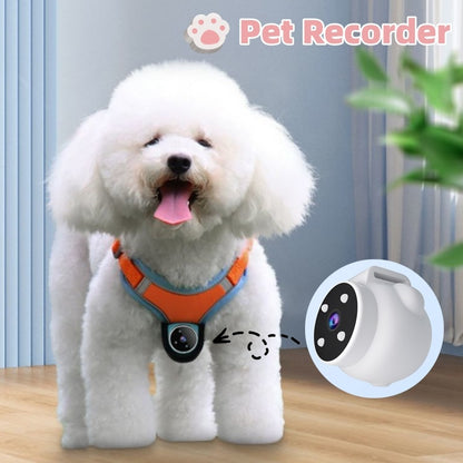 Pet Recorder Collar for Dogs And Cats